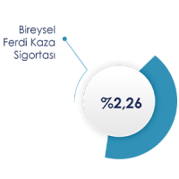 Bireysel Ferdi Kaza